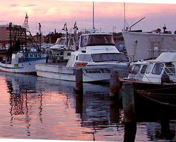 Callan Apartments - Accommodation Gold Coast 2