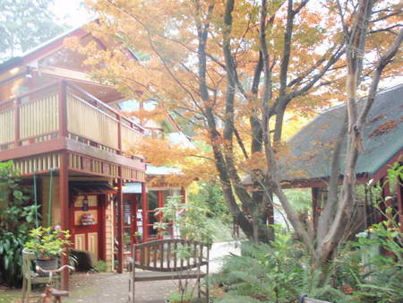 Como Cottage Accommodation - Accommodation Gold Coast 0