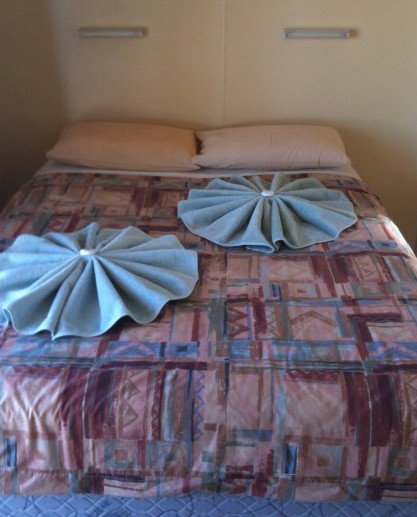 Wauchope Hotel - Accommodation Gold Coast 4