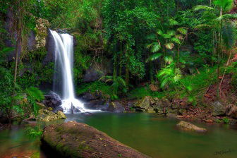 Amber Lodge Bed & Breakfast Tamborine Mountain - Accommodation Gold Coast 2