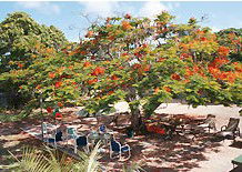 Barnacles Backpackers - Accommodation Gold Coast 1