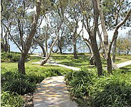 Beachmere Lions Caravan Park - Accommodation Gold Coast 2