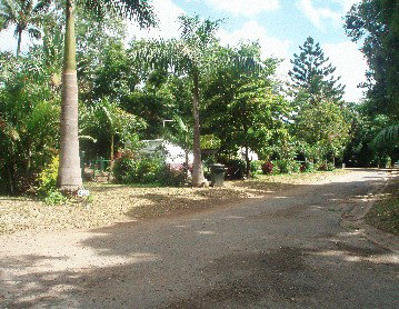 Cape Hillsborough Nature Resort - Accommodation Gold Coast 4