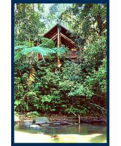 The Canopy Treehouses - Accommodation Gold Coast 1