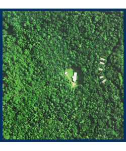 The Canopy Treehouses - Accommodation Gold Coast 2