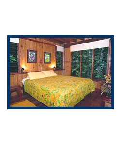 The Canopy Treehouses - Accommodation Gold Coast 3