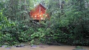 The Canopy Treehouses - Accommodation Gold Coast 5