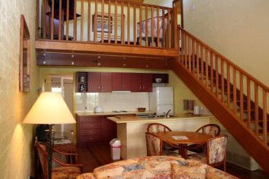 The Great Escape Lofts - Accommodation Gold Coast 3