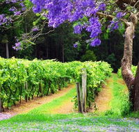 Bago Vineyards - Accommodation Gold Coast