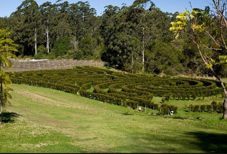 Bago Vineyards - Accommodation Gold Coast 2