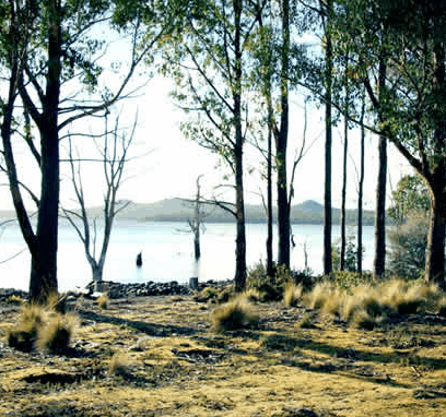 Blue Lake Lodge - Accommodation Gold Coast 5