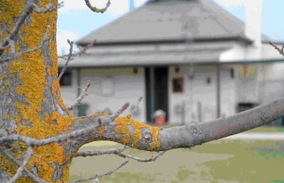 Dunalan Host Farm Cottage - Accommodation Gold Coast 1