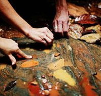 Daintree Eco Lodge And Spa - Gold Coast 4U