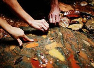 Daintree Eco Lodge And Spa - Accommodation Gold Coast 0