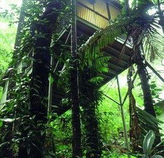 Daintree Eco Lodge And Spa - Accommodation Gold Coast 1