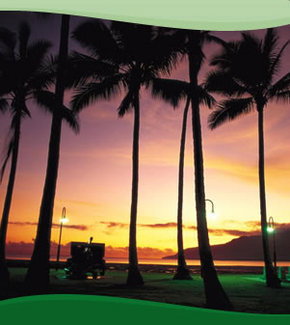 Bay Village Tropical Retreat, Cairns - Accommodation Gold Coast 1