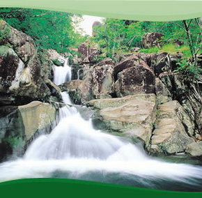 Bay Village Tropical Retreat, Cairns - Accommodation Gold Coast 2