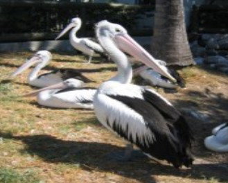 Christmas Cove Caravan Park - Accommodation Gold Coast 0