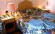 The Gold Sovereign Motor Inn - thumb 3