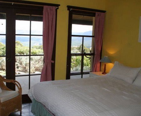 Glyn Newydd - Accommodation Gold Coast 5