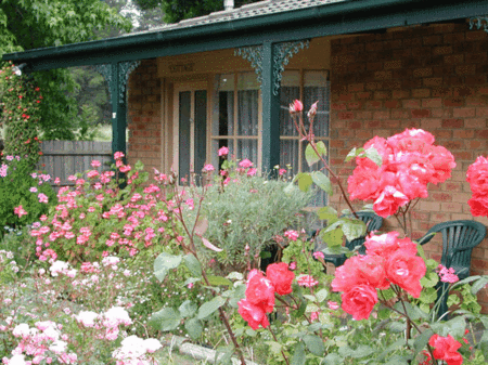 Balnarring Village Motor Inn - 1 Gold Coast 5