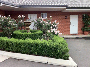 Akuna Motor Inn - Accommodation Gold Coast 4