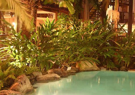 Hibiscus Gardens Spa Resort - Accommodation Gold Coast 3