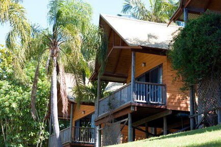 A Paradise Palms Resort - Accommodation Gold Coast 1