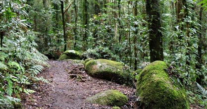 Hillside Bed & Breakfast - Accommodation Gold Coast 2