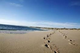 Kalbarri Palm Resort - Accommodation Gold Coast 4