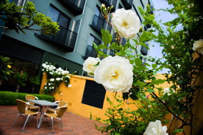 The Old Woolstore Apartment Hotel - Accommodation Gold Coast 5