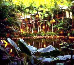 Daintree Eco Lodge And Spa - Accommodation Gold Coast 3