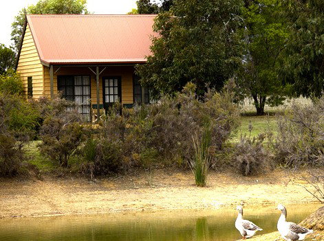 Mountain View Motor Inn And Holiday Lodges - Accommodation Gold Coast 2