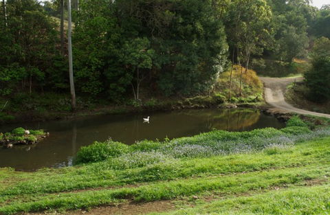 Wattle Gully Retreat - Accommodation Gold Coast 4