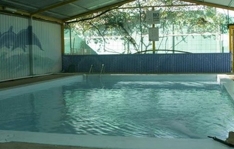 Wycliffe Well Holiday Park - Accommodation Gold Coast 1