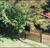 Apple Tree Cottage - Accommodation Gold Coast