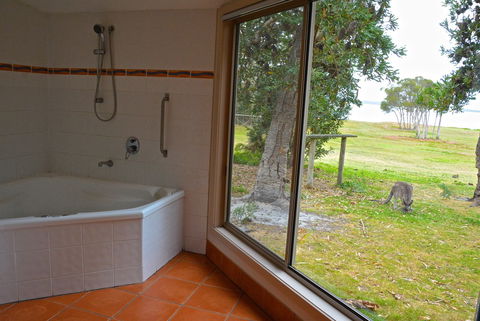Wattle Point Waterfront Retreat - Accommodation Gold Coast 5