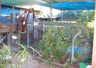 Safari Lodge Motel - Accommodation Gold Coast 1