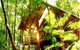 The Canopy Treehouses - thumb 0