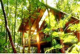 The Canopy Treehouses - Accommodation Gold Coast 0