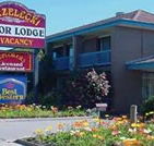 Strzelecki Motor Lodge - Accommodation Gold Coast