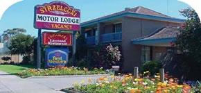 Strzelecki Motor Lodge - Accommodation Gold Coast 0
