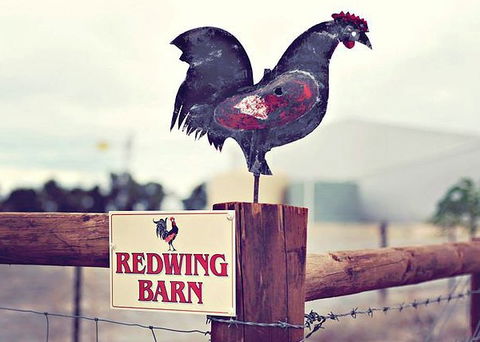 Redwing Farm - The Barn - Accommodation Gold Coast 0