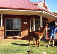 Brilea Cottages - Accommodation Gold Coast