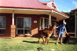 Brilea Cottages - Accommodation Gold Coast 0