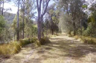 Toms Creek Retreat - Accommodation Gold Coast 1