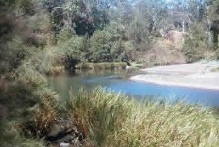 Toms Creek Retreat - Accommodation Gold Coast 4