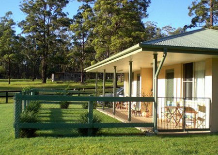 Neds Bed Horse O Tel - Accommodation Gold Coast 1