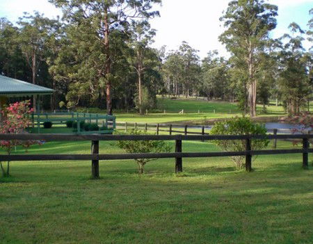 Neds Bed Horse O Tel - Accommodation Gold Coast 2