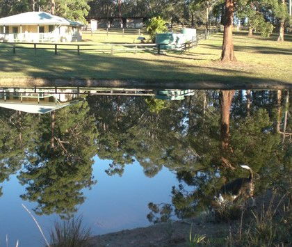 Neds Bed Horse O Tel - Accommodation Gold Coast 4